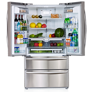 Fridge Repairs
